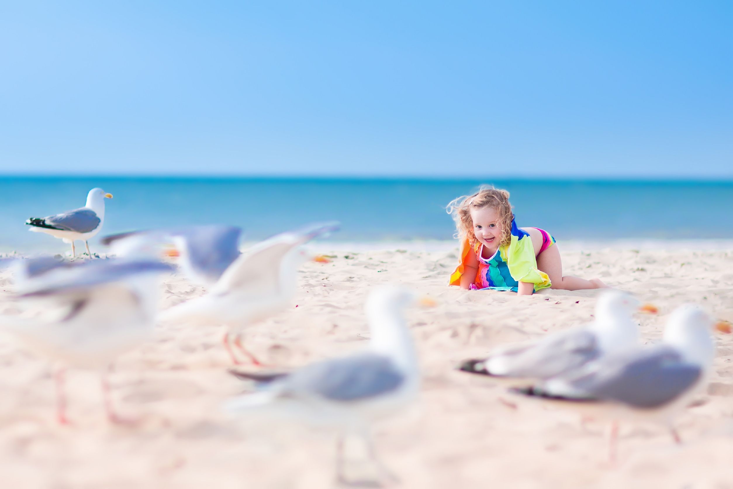 Seagulling A Girl